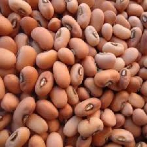 Thatta Payaru - 250gm