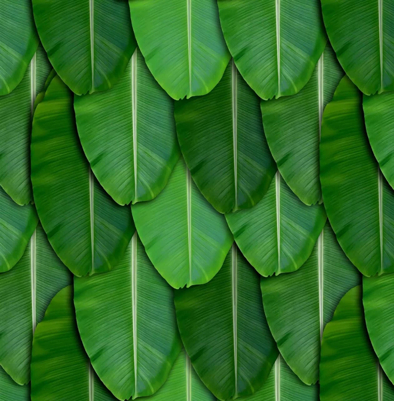 vinayaka mart Bananaa Leaves Backdrops Cloth, Banana Leaf Backdrops Size: (5 X 8